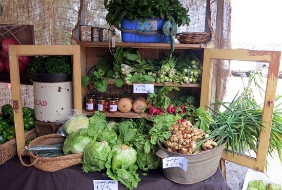 Noosa Farmers Market